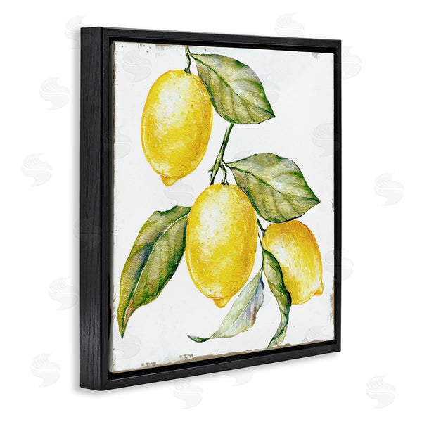 Stupell Industries Graffi*tee Studios | Rustic Citrus Fruits Wall Art