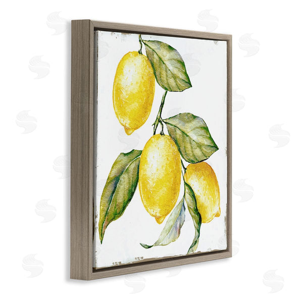 Stupell Industries Graffi*tee Studios | Rustic Citrus Fruits Wall Art