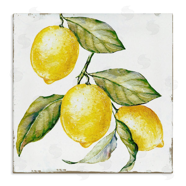 stupell industries Graffi*tee Studios | Rustic Citrus Fruits Wall Art