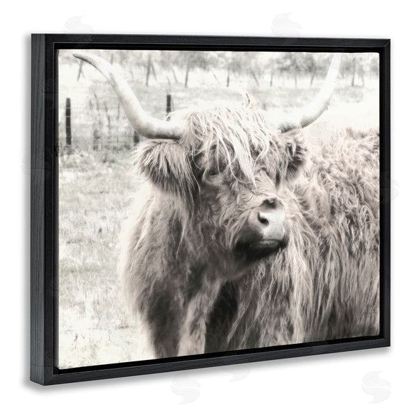 Stupell Industries Graffi*tee Studios | Rustic Farm Highland Cattle Cow Monochrome Photography Wall Art