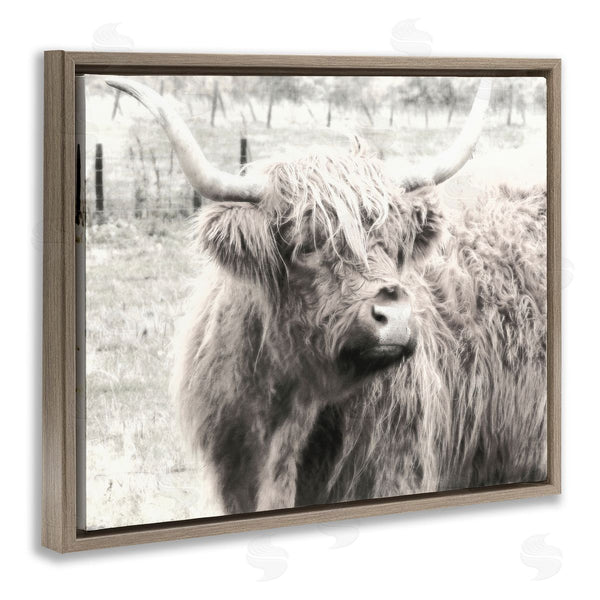 Stupell Industries Graffi*tee Studios | Rustic Farm Highland Cattle Cow Monochrome Photography Wall Art