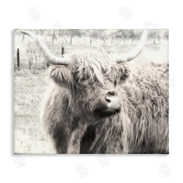 stupell industries Graffi*tee Studios | Rustic Farm Highland Cattle Cow Monochrome Photography Wall Art