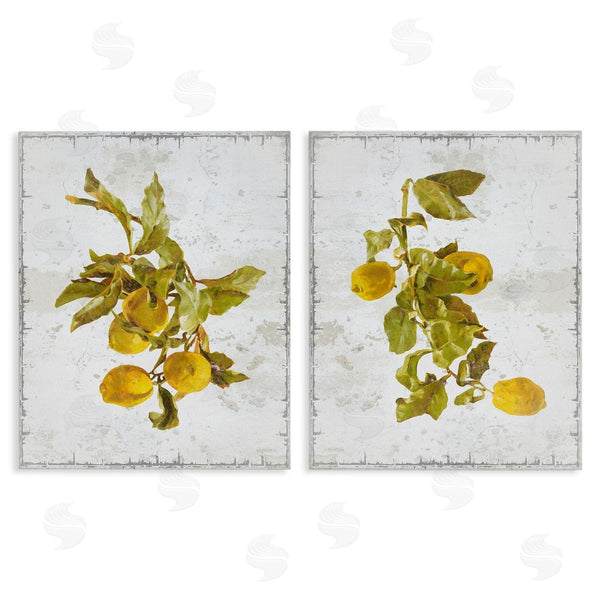 stupell industries Graffi*tee Studios | Rustic Lemons & Leaves Wall Art