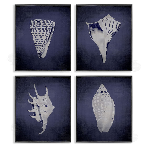 Stupell Industries Graffi*tee Studios | Shells On Indigo Gradient Wall Art