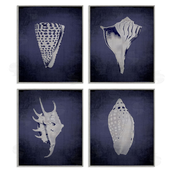 Stupell Industries Graffi*tee Studios | Shells On Indigo Gradient Wall Art