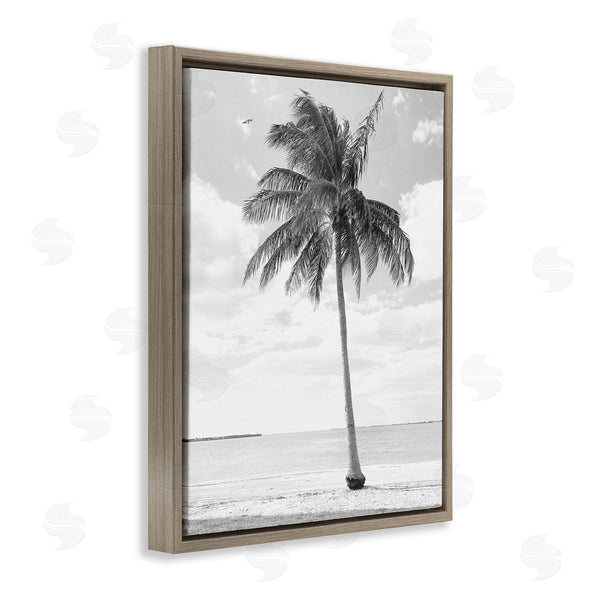 Stupell Industries Graffi*tee Studios | Single Palm Tree Monochrome Tropical Beach Plant Wall Art