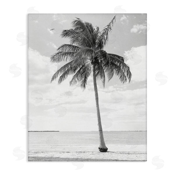 stupell industries Graffi*tee Studios | Single Palm Tree Monochrome Tropical Beach Plant Wall Art