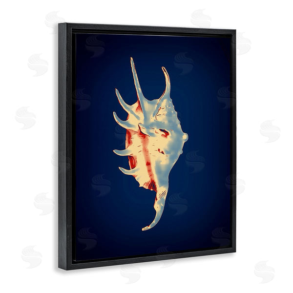Stupell Industries Graffi*tee Studios | Spider Conch On Blue
