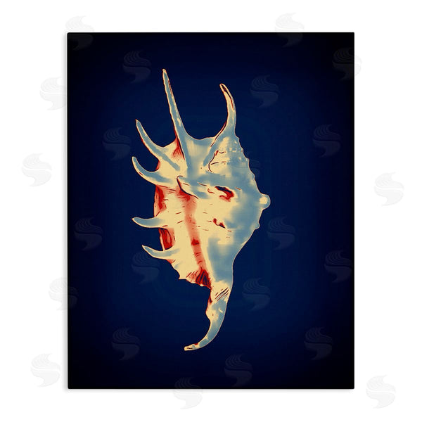 stupell industries Graffi*tee Studios | Spider Conch on Blue