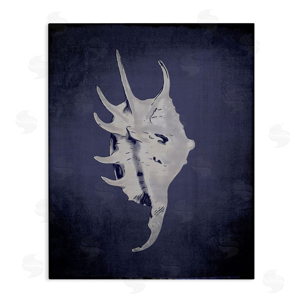 stupell industries Graffi*tee Studios | Spider Conch on Indigo