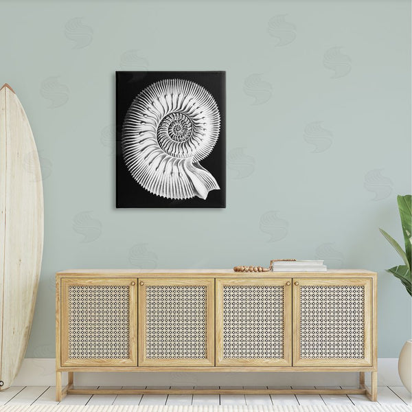 Stupell Industries Graffi*tee Studios | Spiral Sea Life Beach Shell Modern Fractal Wall Art