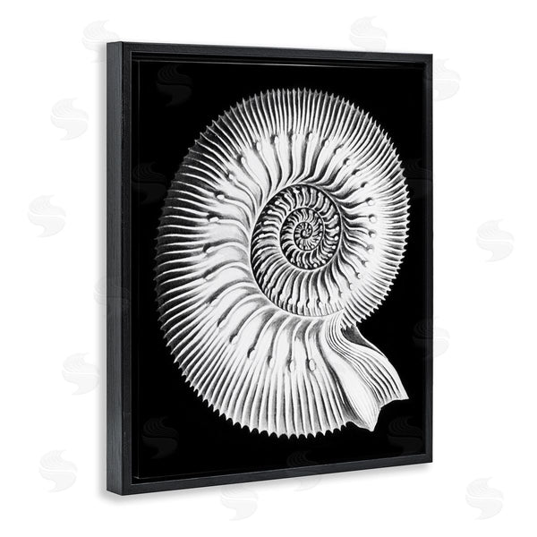 Stupell Industries Graffi*tee Studios | Spiral Sea Life Beach Shell Modern Fractal Wall Art
