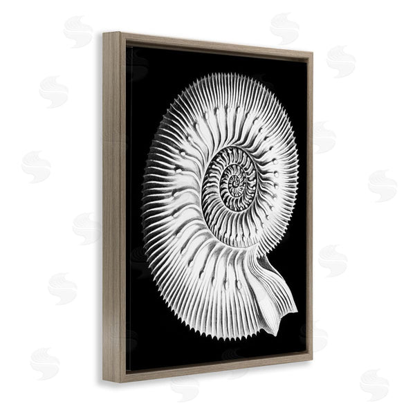Stupell Industries Graffi*tee Studios | Spiral Sea Life Beach Shell Modern Fractal Wall Art