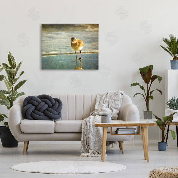 Stupell Industries Graffi*tee Studios | Stepping Sandpiper At Shore Wall Art