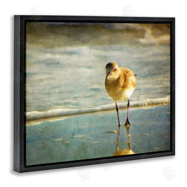 Stupell Industries Graffi*tee Studios | Stepping Sandpiper At Shore Wall Art
