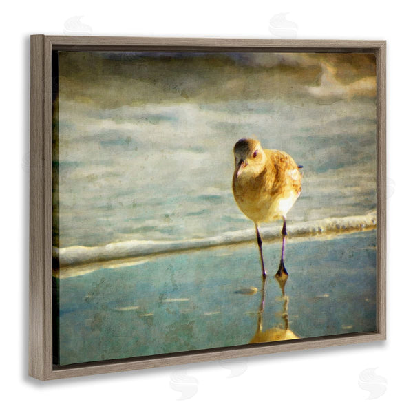 Stupell Industries Graffi*tee Studios | Stepping Sandpiper At Shore Wall Art