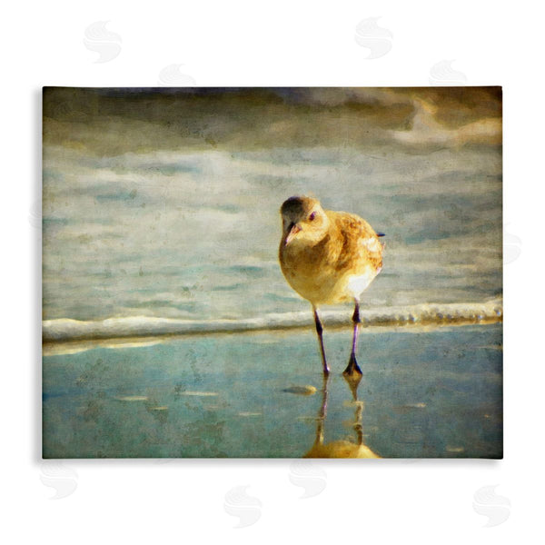 stupell industries Graffi*tee Studios | Stepping Sandpiper at Shore Wall Art