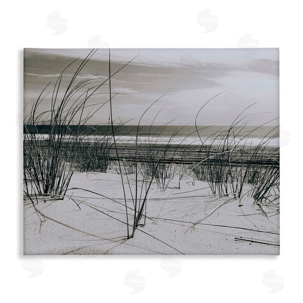 stupell industries Graffi*tee Studios | Subtle Beach Reeds Wall Art