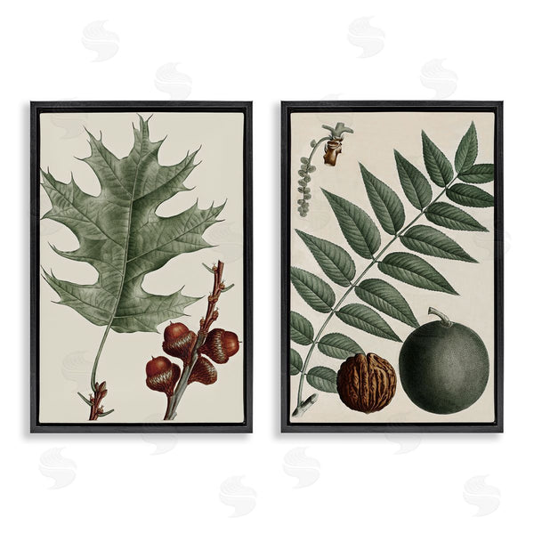 Stupell Industries Graffi*tee Studios | Tree Leaves & Nuts