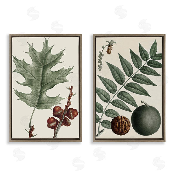 Stupell Industries Graffi*tee Studios | Tree Leaves & Nuts