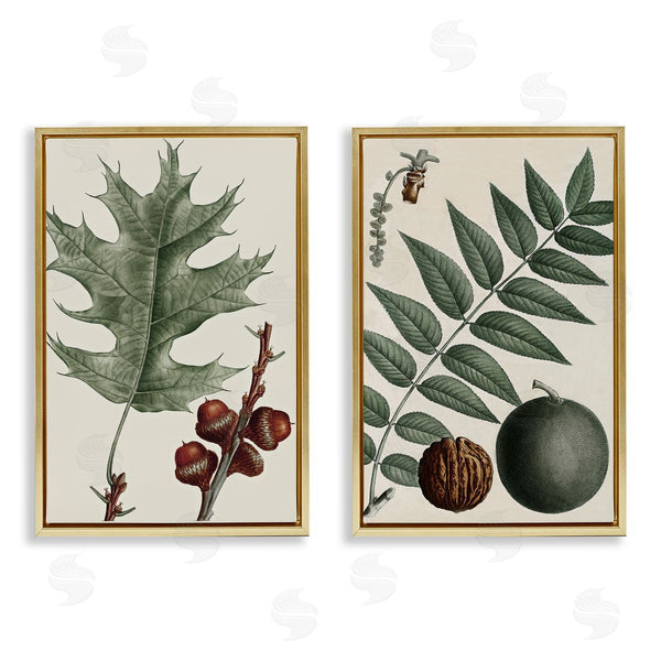 Stupell Industries Graffi*tee Studios | Tree Leaves & Nuts