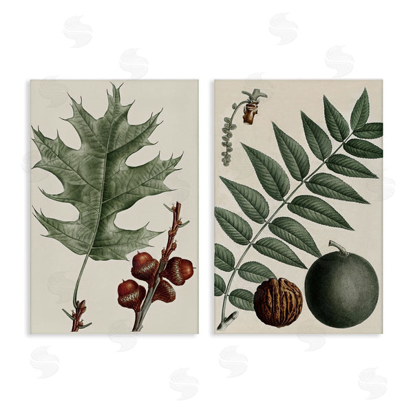 stupell industries Graffi*tee Studios | Tree Leaves & Nuts