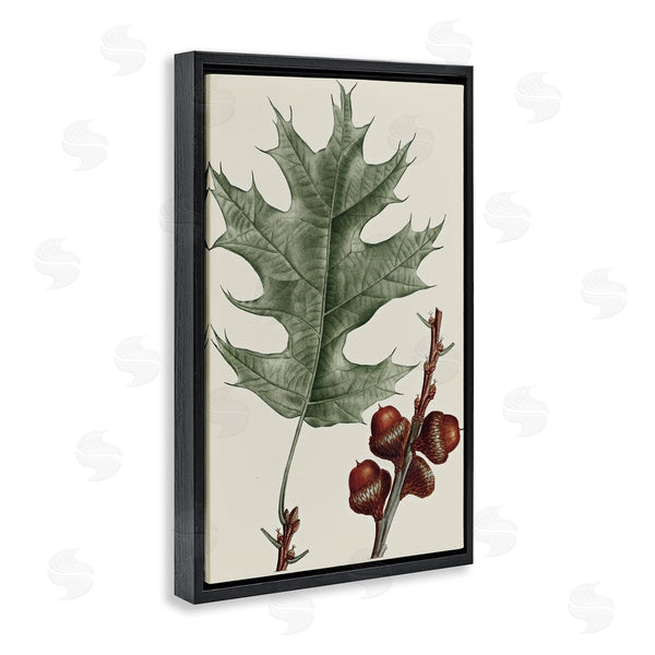 Stupell Industries Graffi*tee Studios | Vintage Black Oak Leaf