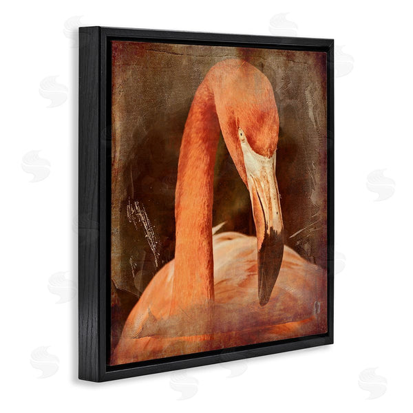 Stupell Industries Graffi*tee Studios | Vintage Flamingo Animal Portrait Wall Art
