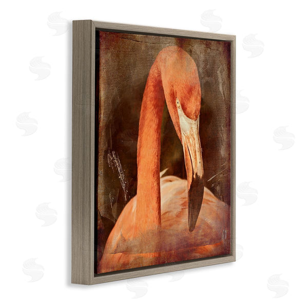 Stupell Industries Graffi*tee Studios | Vintage Flamingo Animal Portrait Wall Art