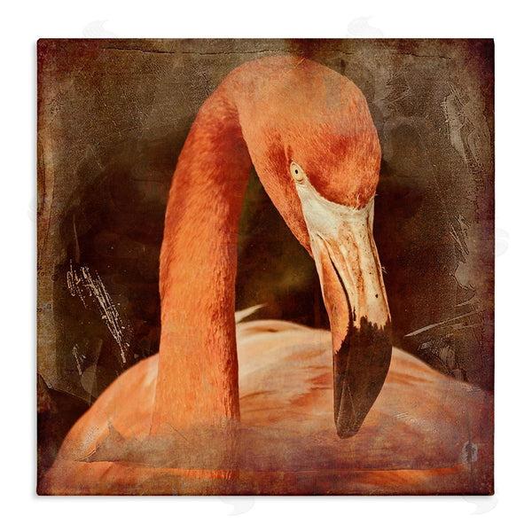 stupell industries Graffi*tee Studios | Vintage Flamingo Animal Portrait Wall Art