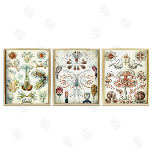 Stupell Industries Graffi*tee Studios | Vintage Microscopic Crustaceans