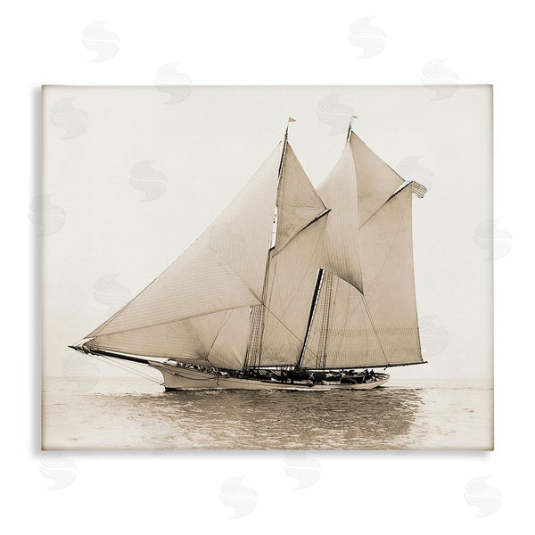 stupell industries Graffi*tee Studios | Vintage Sailing Yacht Wall Art
