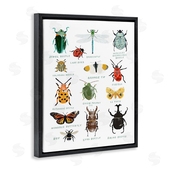 Stupell Industries Hanna Melin | Educational Bug Types Wall Art