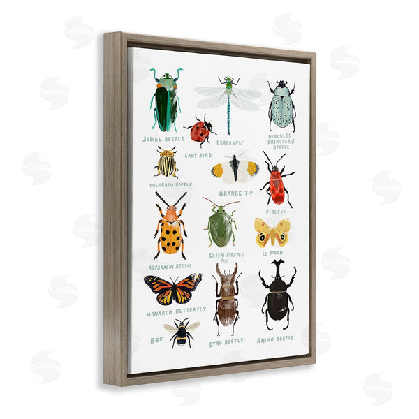 Stupell Industries Hanna Melin | Educational Bug Types Wall Art