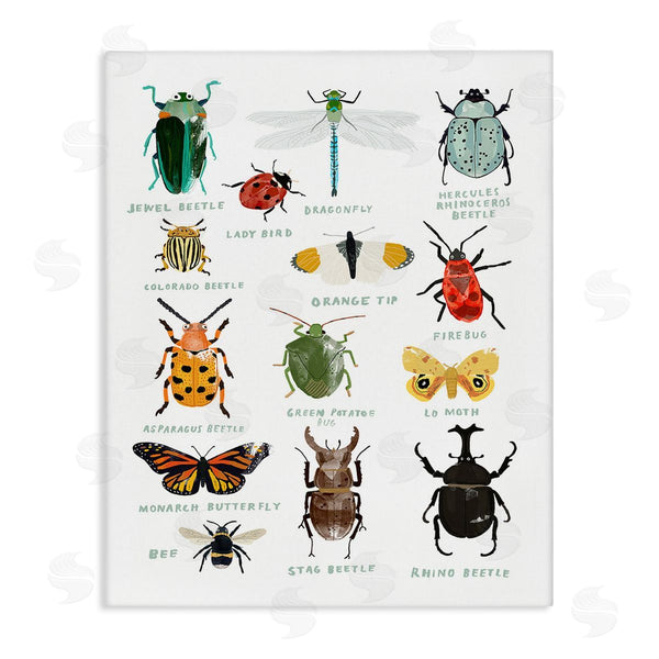 stupell industries Hanna Melin | Educational Bug Types Wall Art