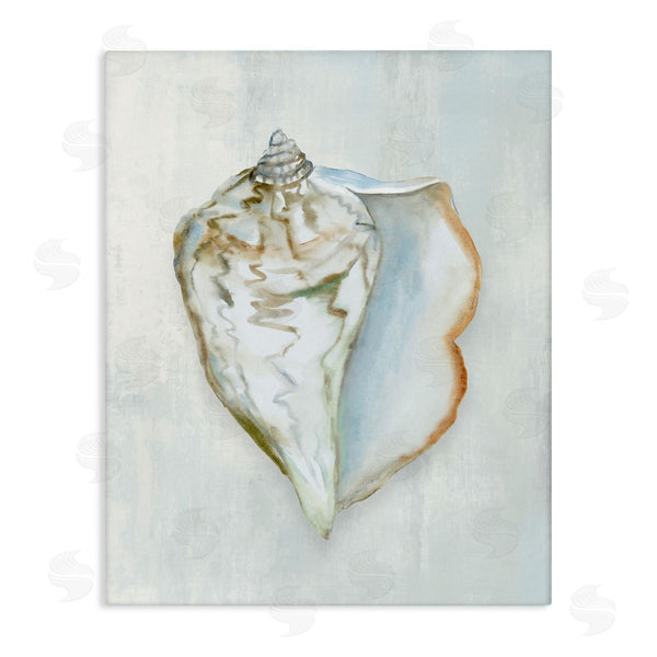 stupell industries Hannah Dawson | Muted Conch Shell Serenity