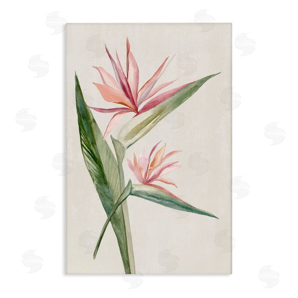 stupell industries Hannah Dawson | Tropical Grace Birds of Paradise Wall Art