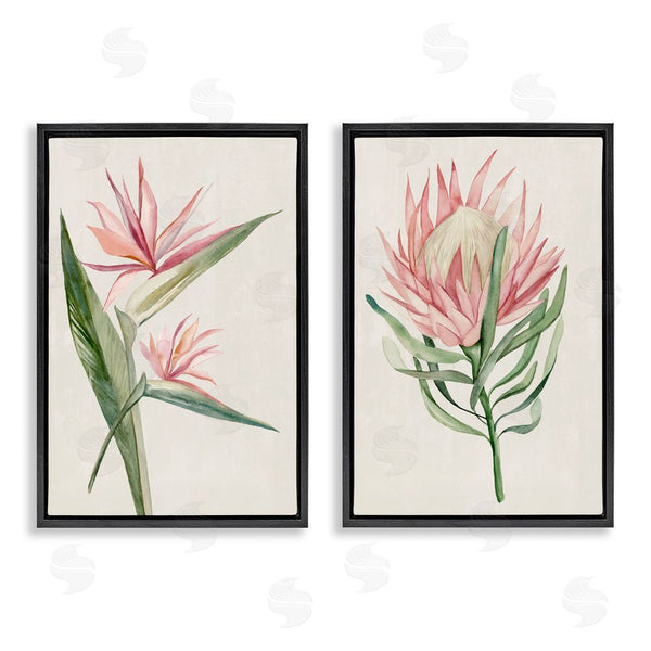 Stupell Industries Hannah Dawson | Tropical Grace Botanicals Wall Art