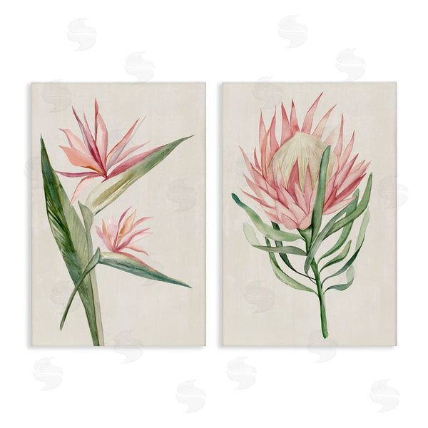 stupell industries Hannah Dawson | Tropical Grace Botanicals Wall Art