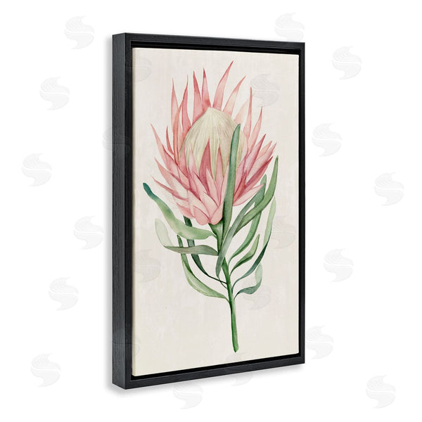 Stupell Industries Hannah Dawson | Tropical Grace Exotic Flower Wall Art