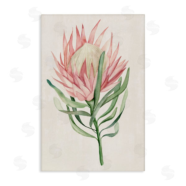 stupell industries Hannah Dawson | Tropical Grace Exotic Flower Wall Art