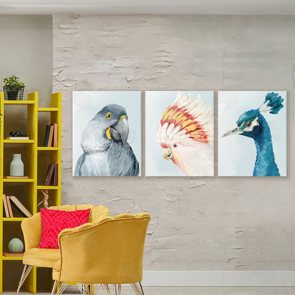 Stupell Industries Hannah Dawson | Vivid Plumage Bird Portraits