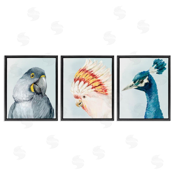 Stupell Industries Hannah Dawson | Vivid Plumage Bird Portraits