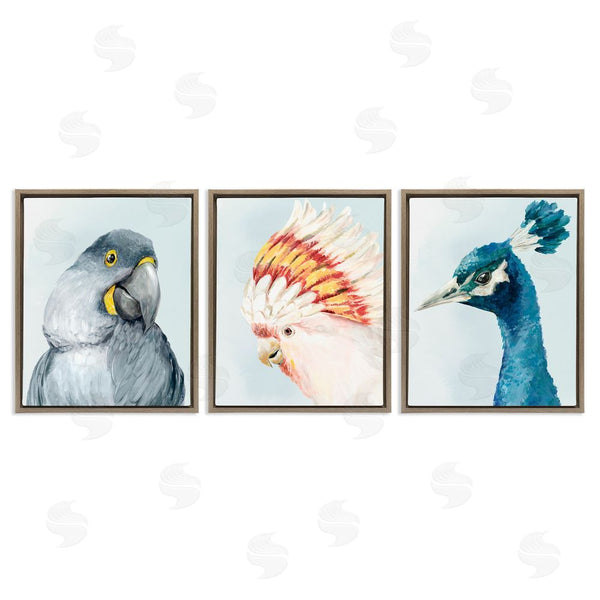 Stupell Industries Hannah Dawson | Vivid Plumage Bird Portraits