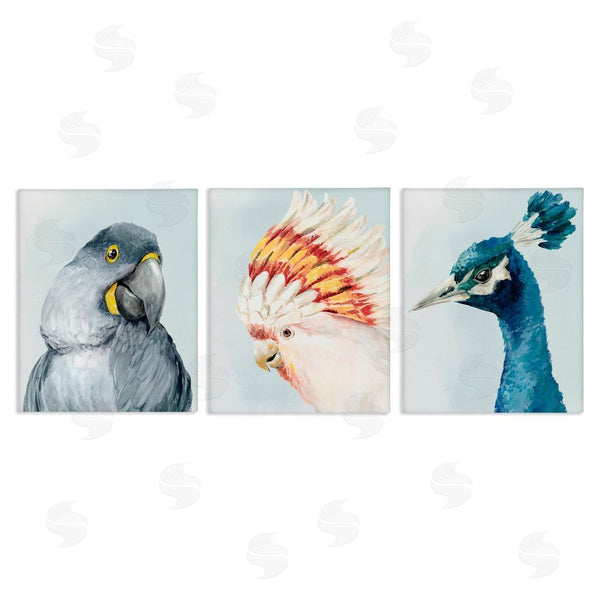 stupell industries Hannah Dawson | Vivid Plumage Bird Portraits