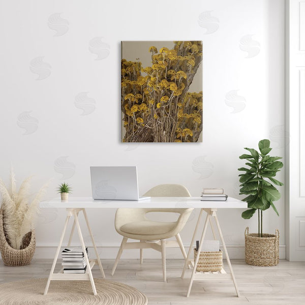 Stupell Industries Hannah Heemsbergen | Bushels Of Yellow Flowers Darkened Tuscan Florals Wall Art