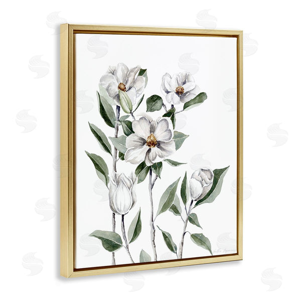 Stupell Industries Heather Desormeaux | Delicate Magnolia Sprigs