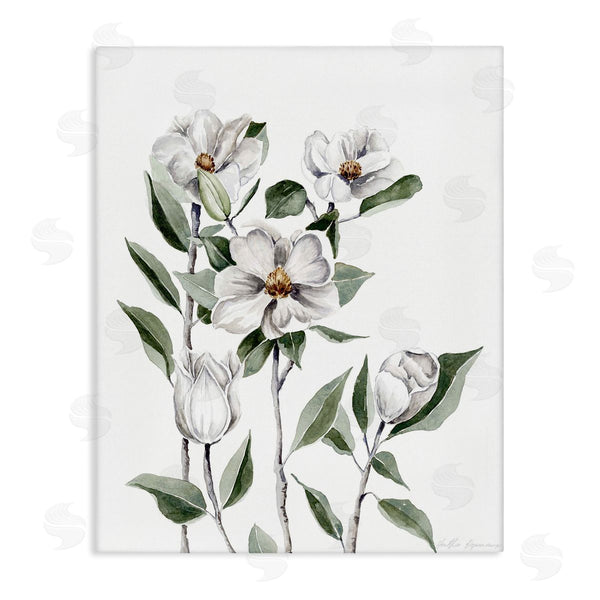 stupell industries Heather Desormeaux | Delicate Magnolia Sprigs