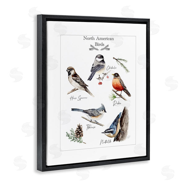 Stupell Industries Heather Desormeaux | North American Birds Chart