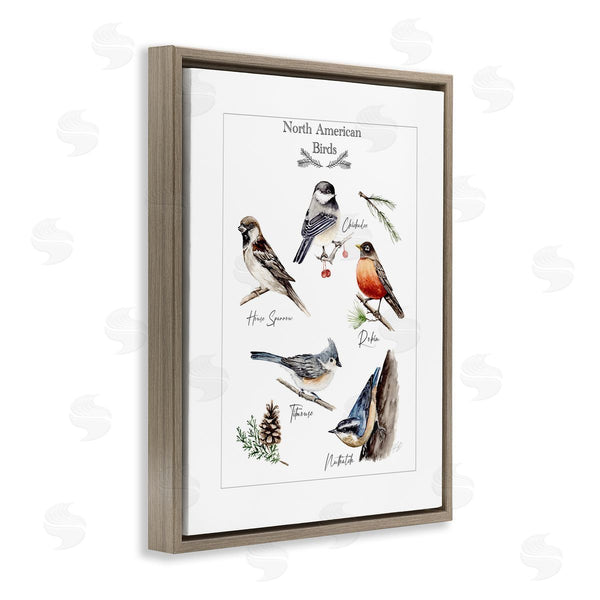 Stupell Industries Heather Desormeaux | North American Birds Chart